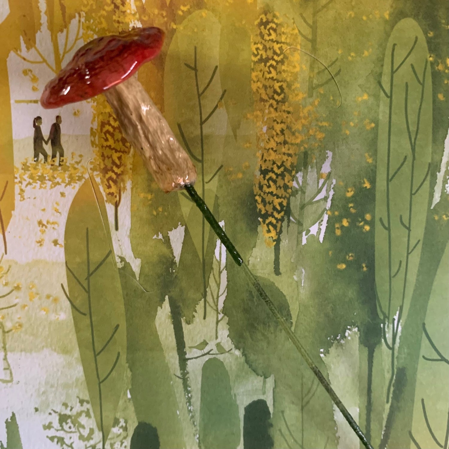 Wild Ontario Mushrooms - The Flannel Couch