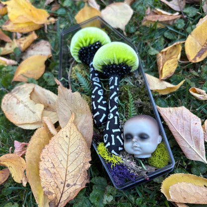 BFF 🍄 🍄 Box Set - Prints