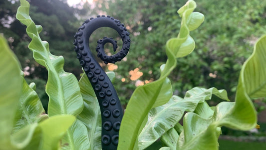 Kraken Polymer Clay #plantspike - The Flannel Couch