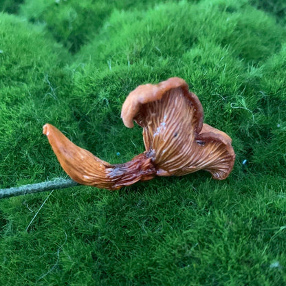 Wild Ontario Mushroom Plant Spikes - The Flannel Couch