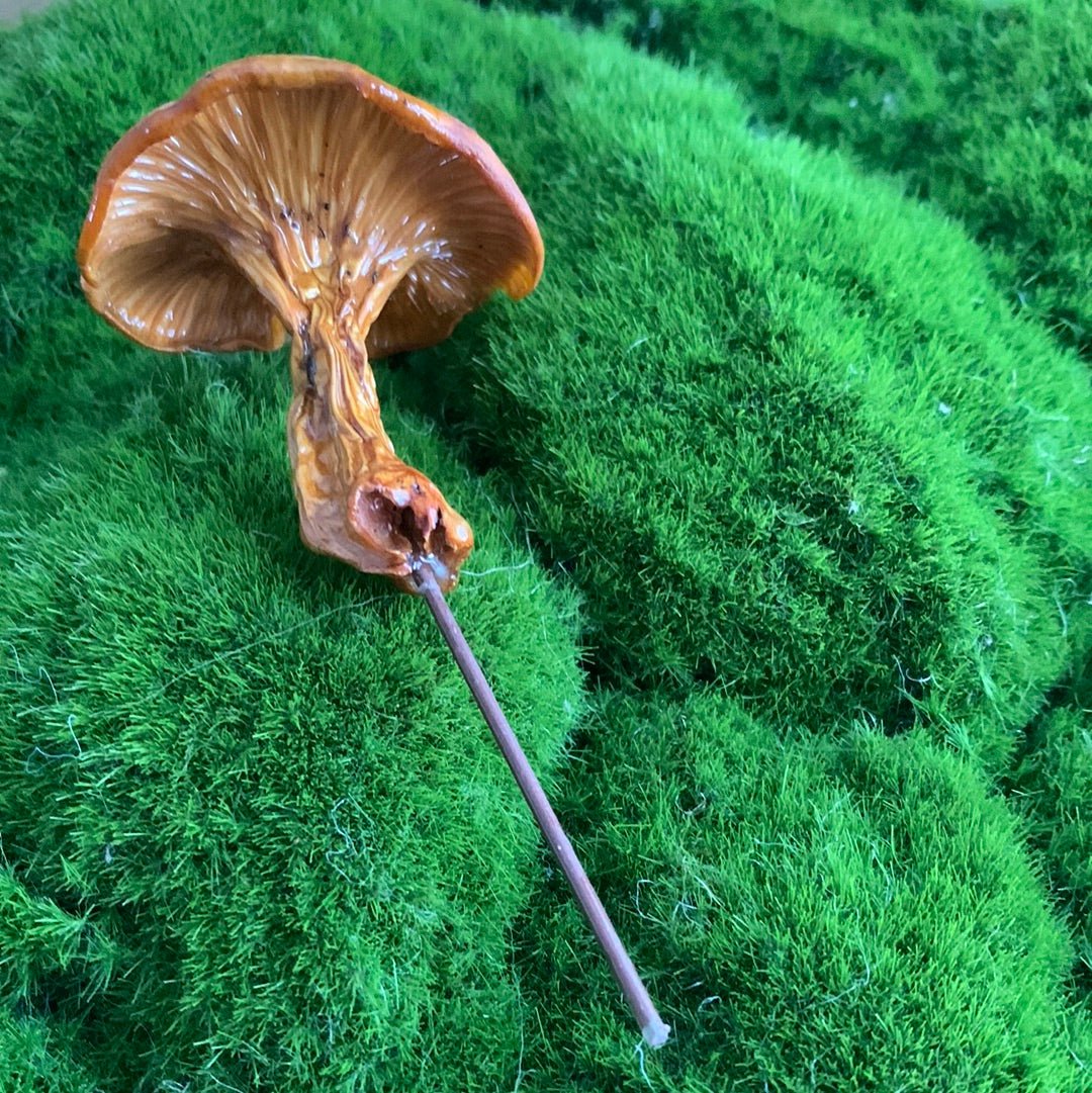 Wild Ontario Mushroom Plant Spikes - The Flannel Couch